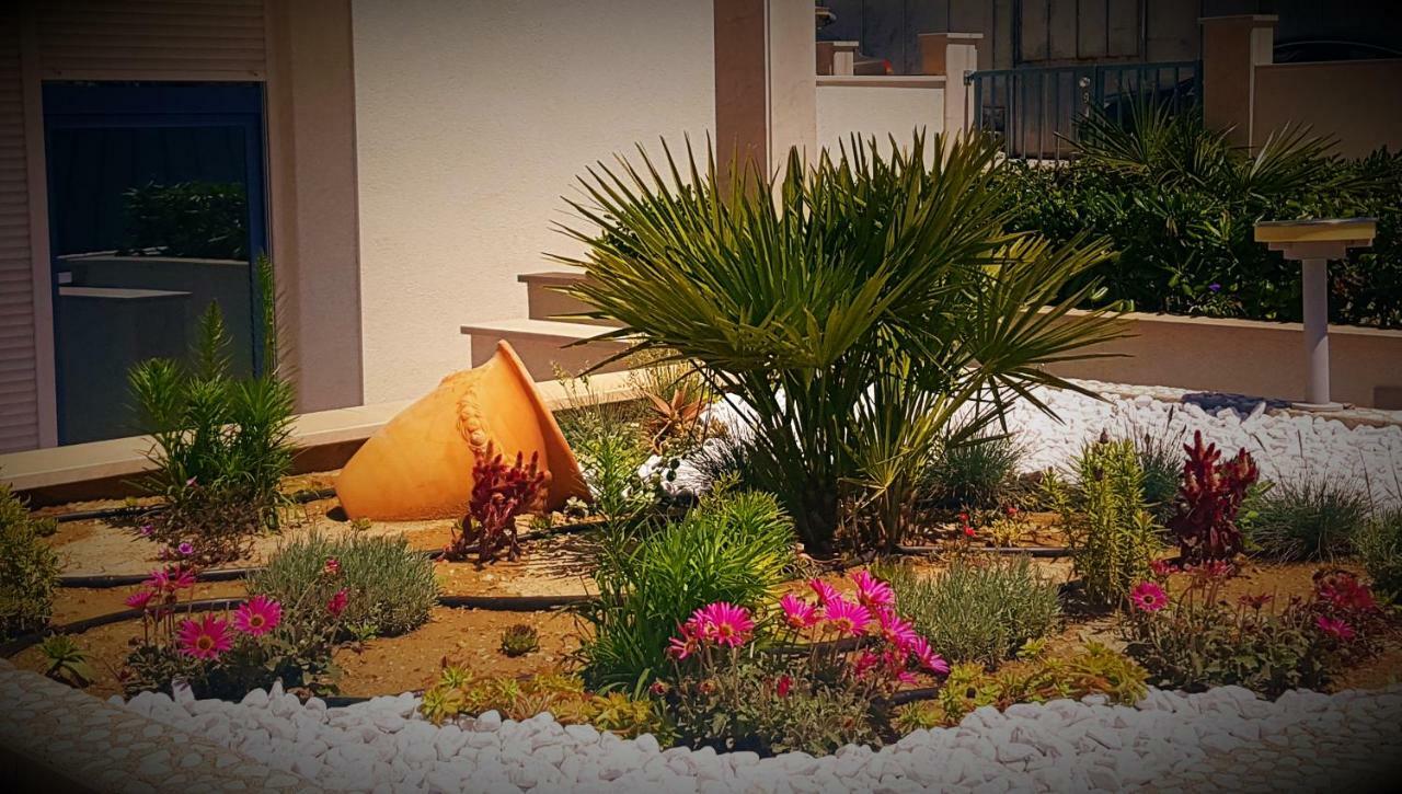 Apartments Kamelija سبليت المظهر الخارجي الصورة
